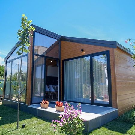 The Bungalow'S Golem  Bagian luar foto